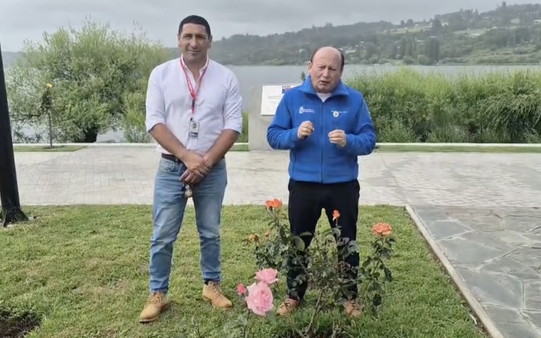 Municipio advierte: robo de rosas en Panguipulli arriesga multa de 5 UTM